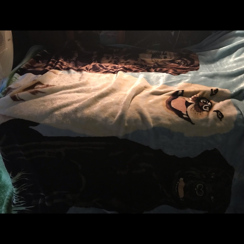 Queen Size lab blanket